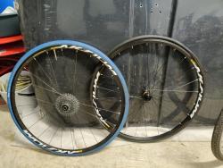 IMG_20201126_090247.jpg