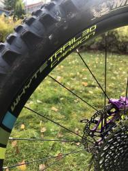 Whyte9.jpg