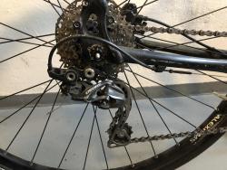 merida3.jpg