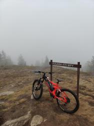 IMG_20201004_140339.jpg