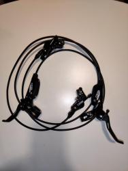 IMG_20201208_062008.jpg