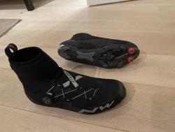 IMG_3B8846E91F91-1.jpeg