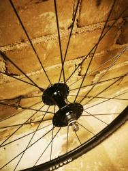 IMG_20210130_134429.jpg
