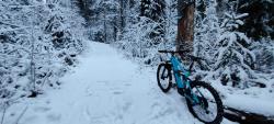 IMG_20201230_101630.jpg