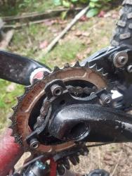 20201003_153156.jpg