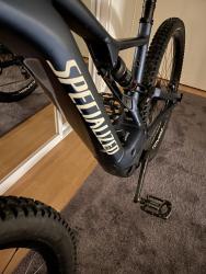IMG_2175.jpeg