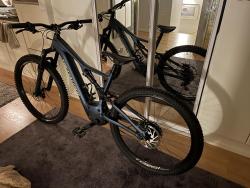 IMG_2177.jpeg