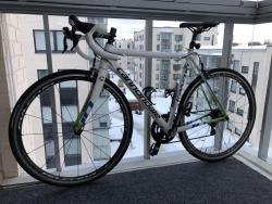 IMG_3072.jpeg