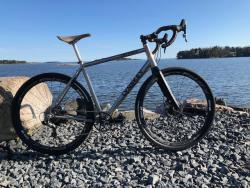 lynskey - 1.jpeg