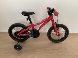 Scott contessa R.jpg