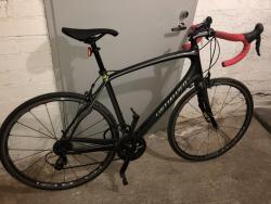 roubaix2.jpeg