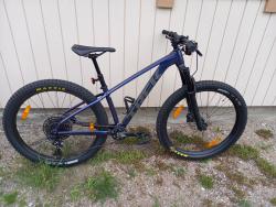 Trek Roscoe 8.jpg