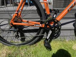 IMG_1287.jpeg