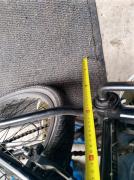 IMG_20210507_153558.jpg