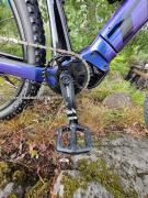 Trek Powerfly 5 IV.jpg