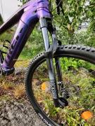 Trek Powerfly 5 VI.jpg