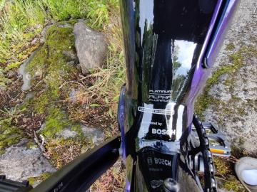 Trek Powerfly 5 III.jpg