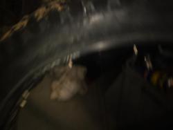 IMG_20210616_190649.jpg