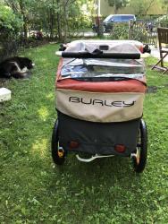 burley4.JPG
