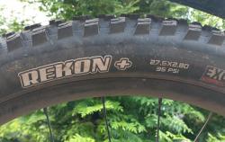 IMG_20210711_194652053.jpg