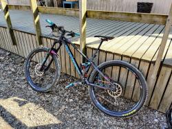Mondraker Foxy XR 2019.jpg