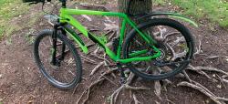 IMG_4348 (2).JPEG