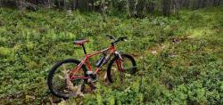 IMG_20200724_163219.jpg