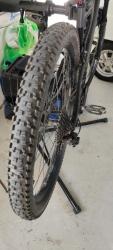 IMG_20210904_114600.jpg