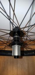 IMG_20210921_122417.jpg