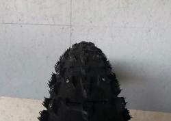 2730404562.jpg
