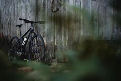 5F3E3922-E8D0-4962-887F-007CC7A827CA.jpeg