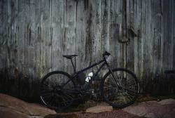 74B1A307-6C5B-47DC-A4FD-D04A0EE75A31.jpeg