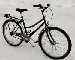 Fjällräven_ (2).jpg