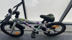 IMG_8113.jpeg