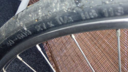 IMG_20220424_150325.png
