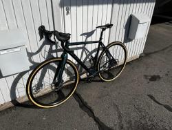 IMG_9367.jpeg