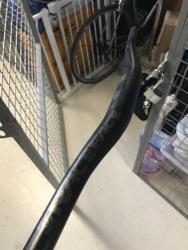 thumbnail_IMG_6242.jpg