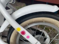 IMG_1104.JPEG