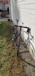 IMG_20220514_183055.jpg