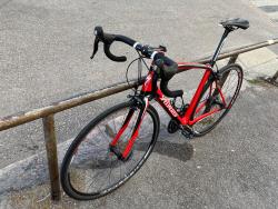 IMG_3923.jpeg