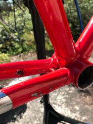 IMG_7629.jpeg
