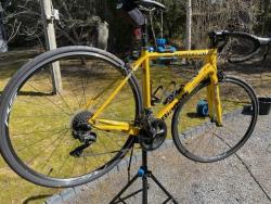 bianchi.jpg