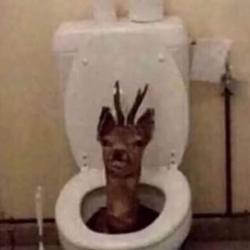 B4A4898E-DDAB-4780-9FEF-EECF2C7598E3.jpeg