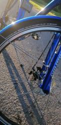 IMG_20220610_210749.jpg