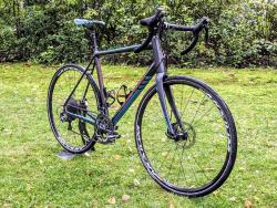 kona esatto ddl 2.jpg