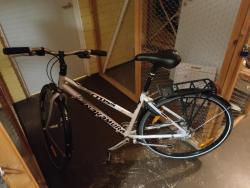 IMG_20220713_044402.jpg