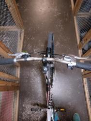 IMG_20220713_044531.jpg
