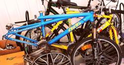 IMG_20220724_113712.jpg