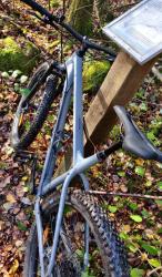 IMG_20201013_104927__01.jpg