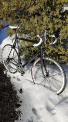 IMG-20210318-WA0003.jpg